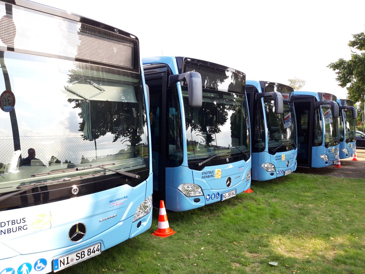 Hybrid Busse