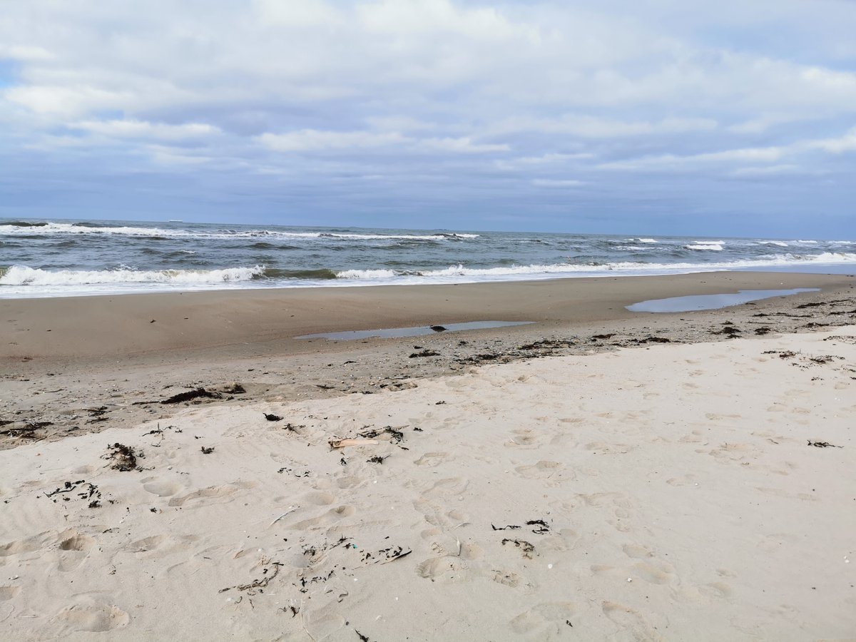 Natur pur - dafür steht die Insel Spiekeroog.