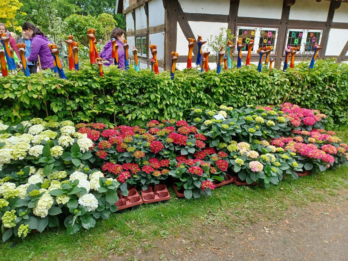 Lustige Idee, um eine Hecke zu gestalten. 