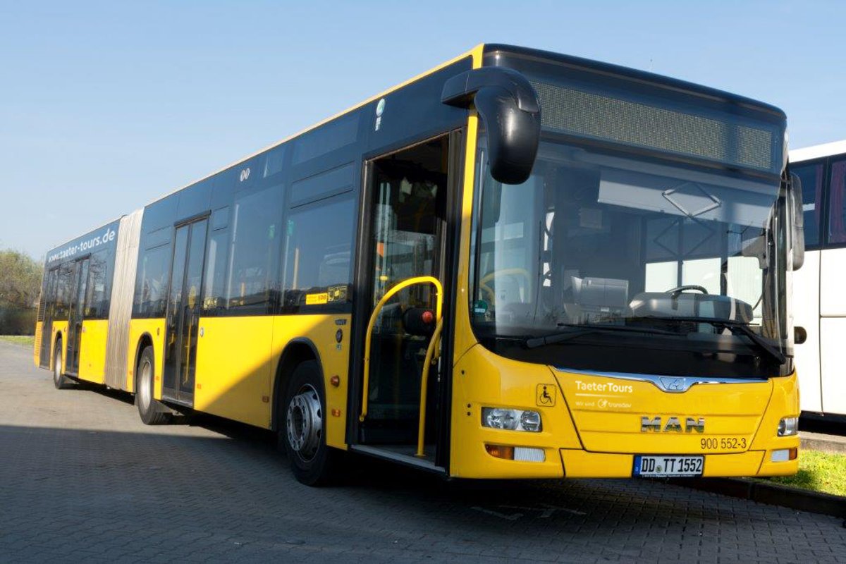 Gelenkbus Taeter Tours