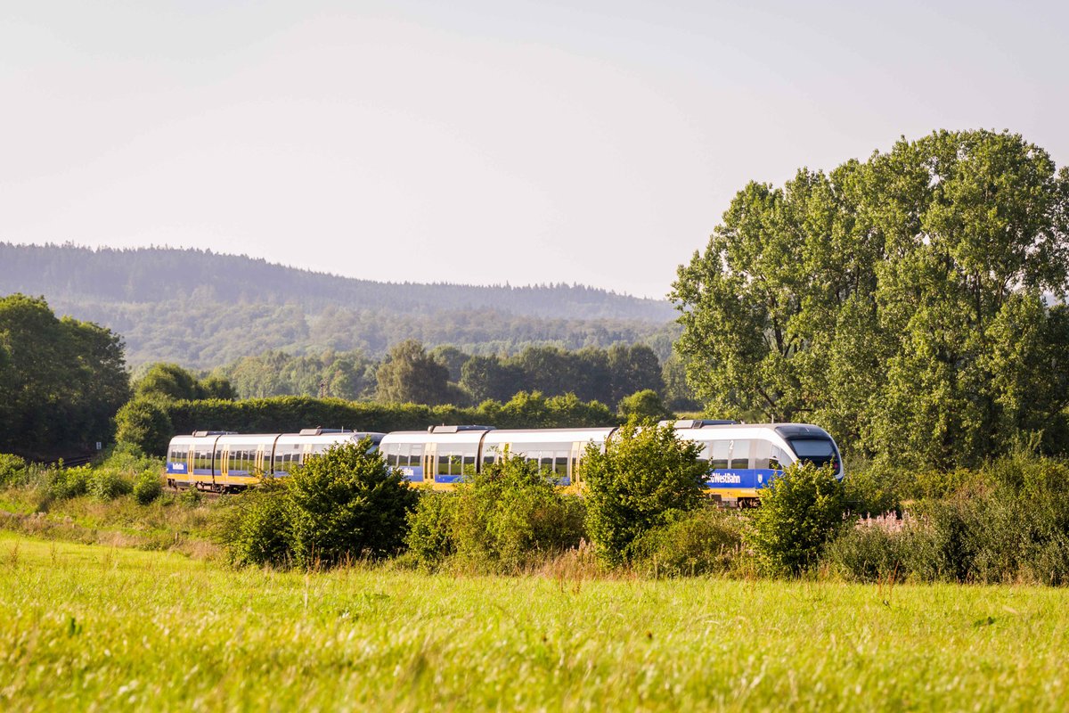 Deine Anreise mit dem Zug zum Haller Stadtfest