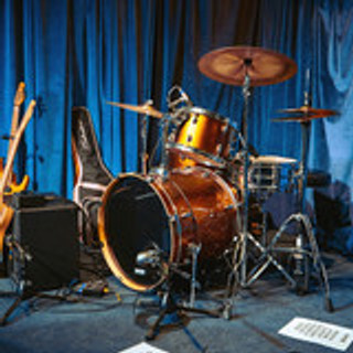 Heavysaurus live