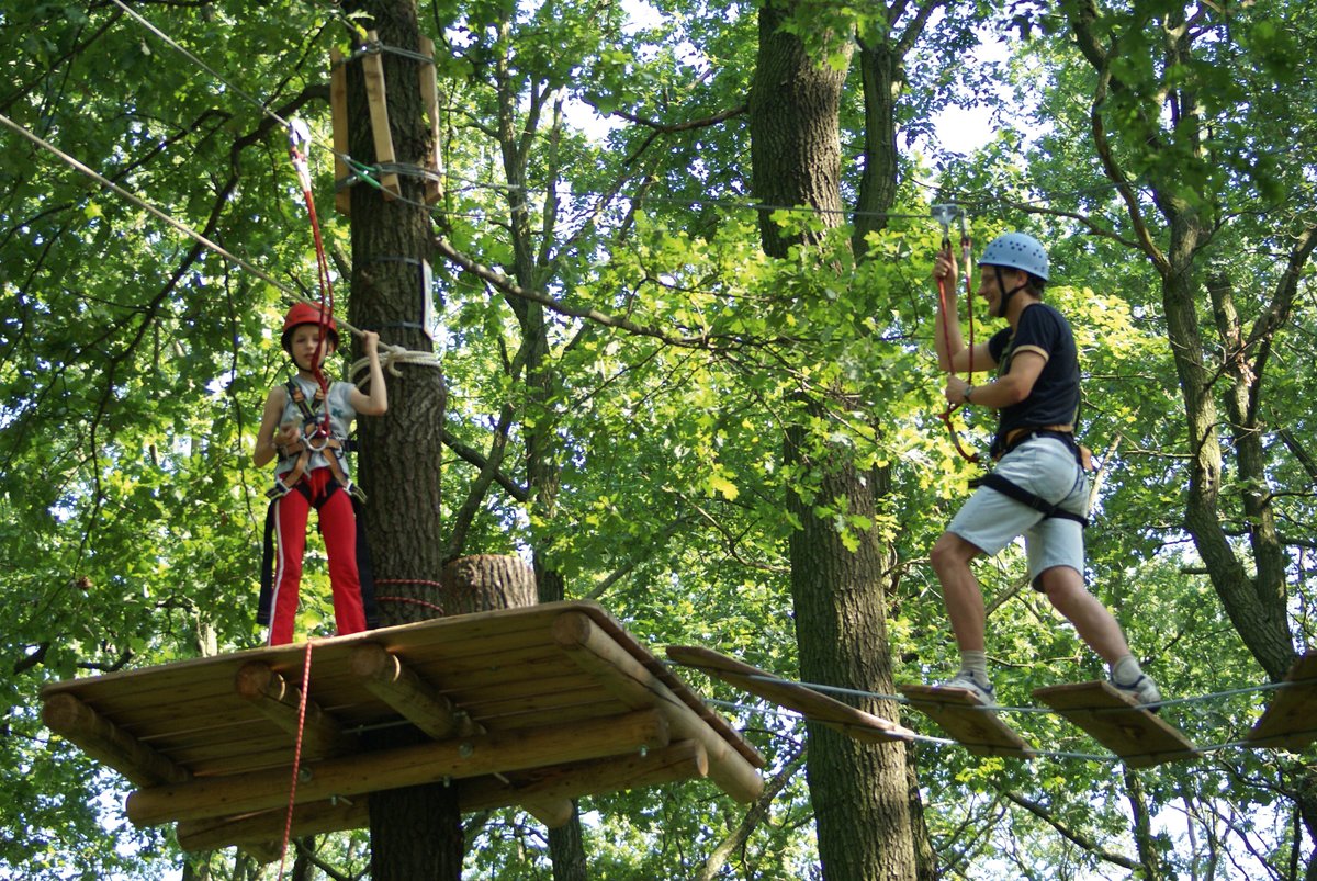 Kletterwald