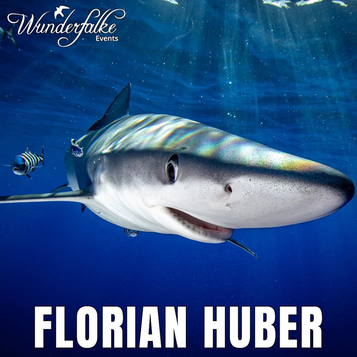 FLORIAN HUBER