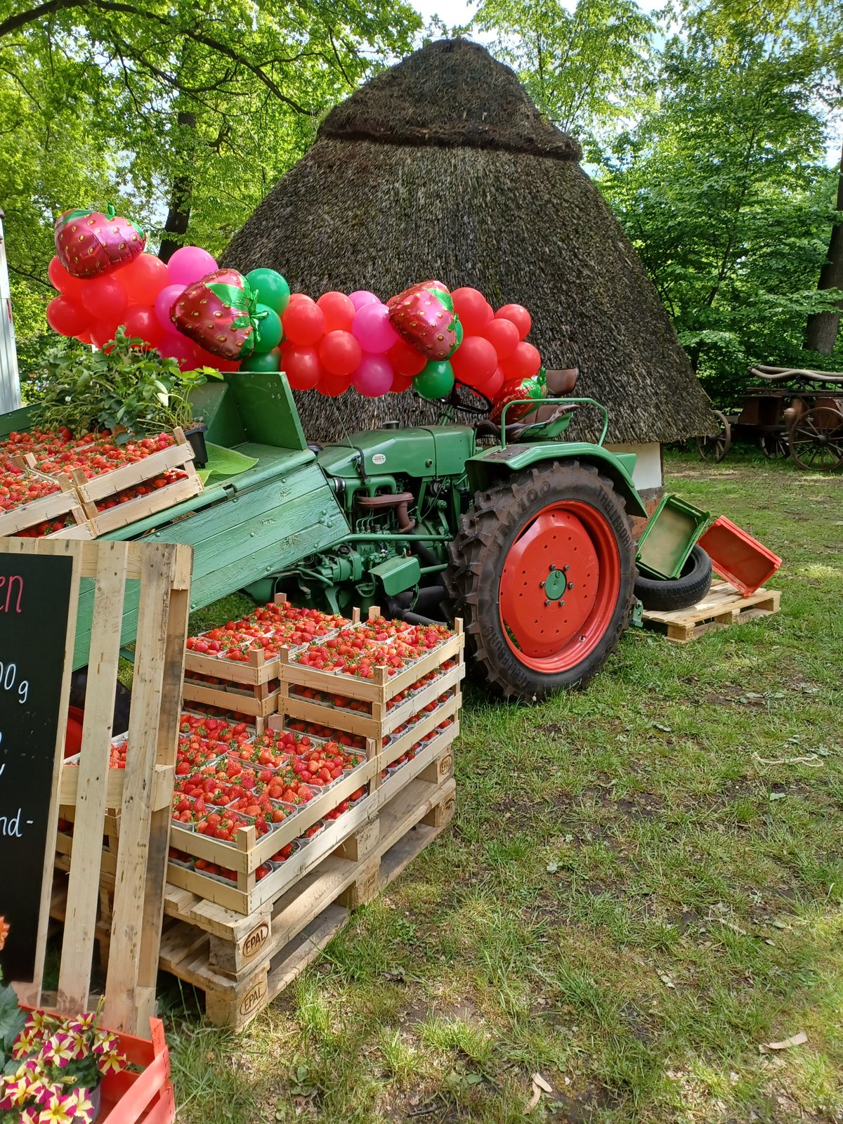 Lecker. Erdbeeren. 
