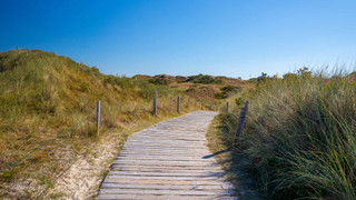 Dünenspaziergänge