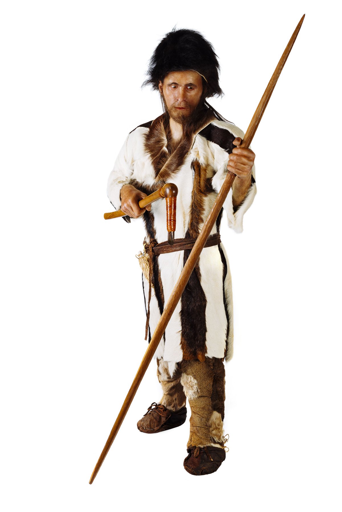 Ötzi Foto: Neanderthal Museum