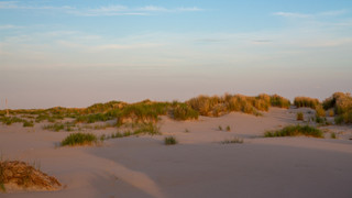 Naturschutzgebiet Flinthörn