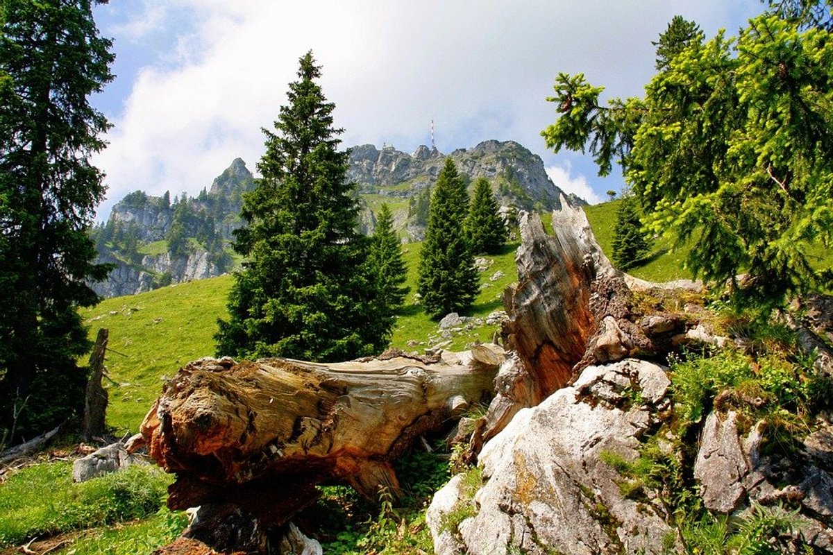 Wendelstein