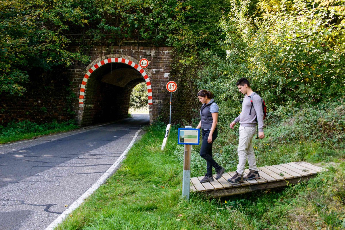 Brücke Mermicherhof (3)