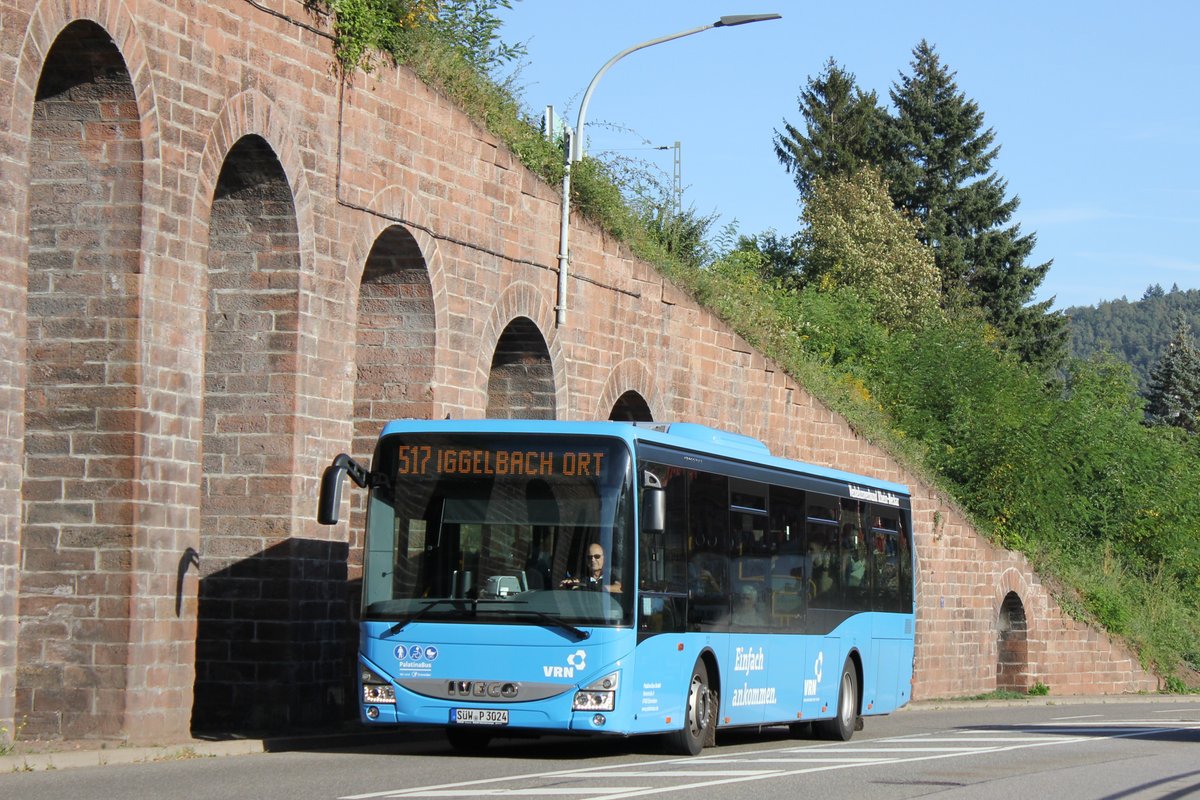 Palatina Busse