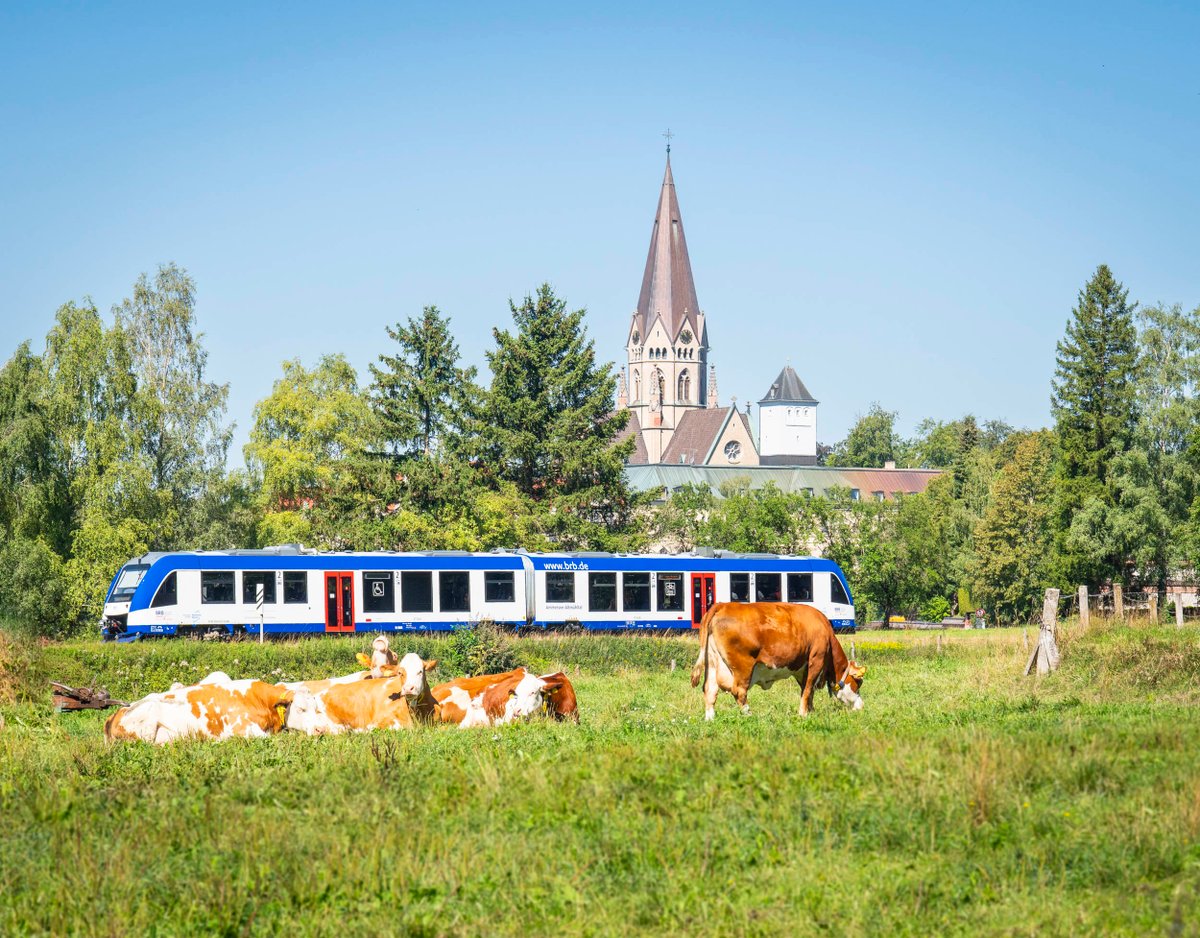 So schön kann eine Zugfahrt mit der BRB sein, wenn keine Großbaustelle zu einer Sperrung führt.