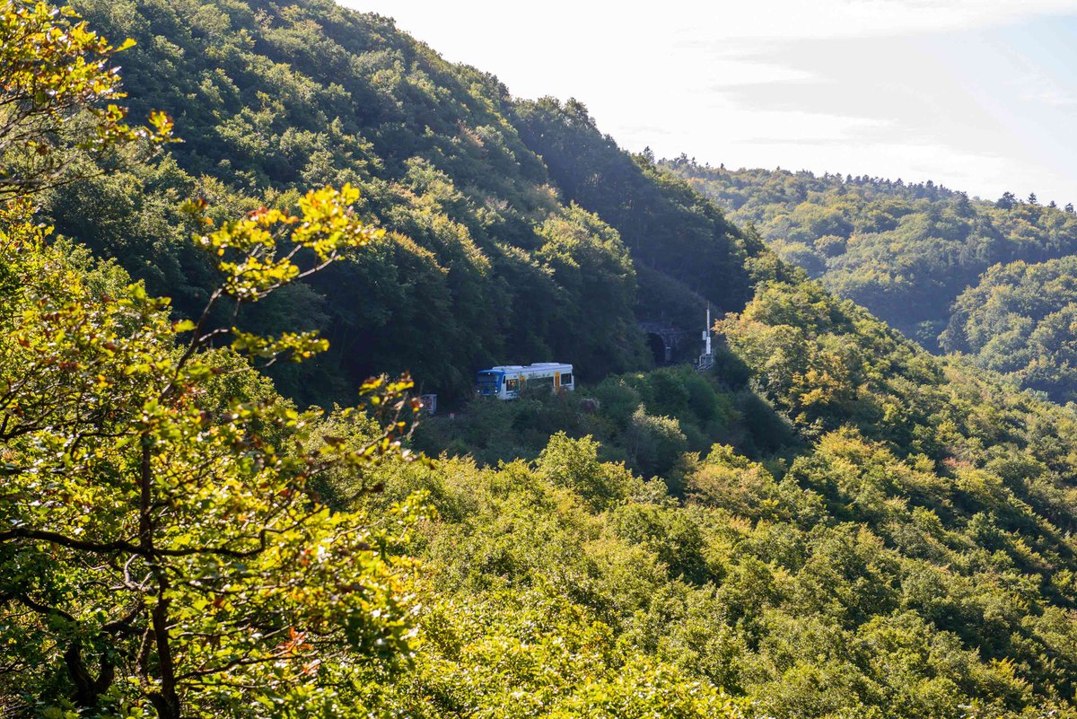 Rauherberg-Tunnel (7)
