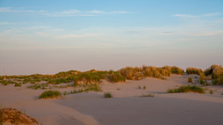 Naturschutzgebiet Flinthörn