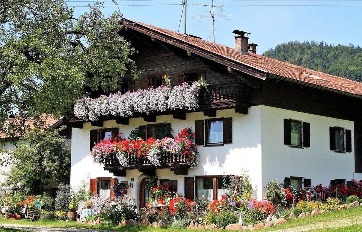 Balkonblumen