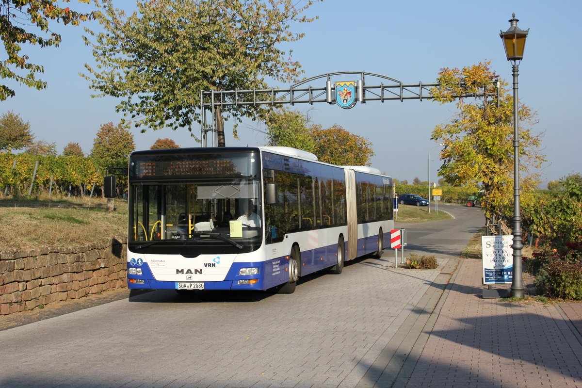 Palatina Busse 