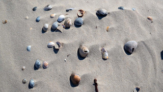 Nationalpark-Haus Wittbülten