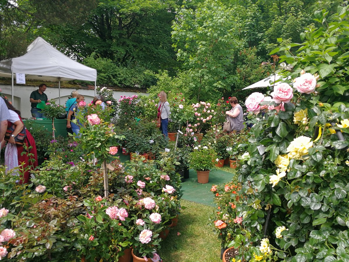 Tölzer Rosentage