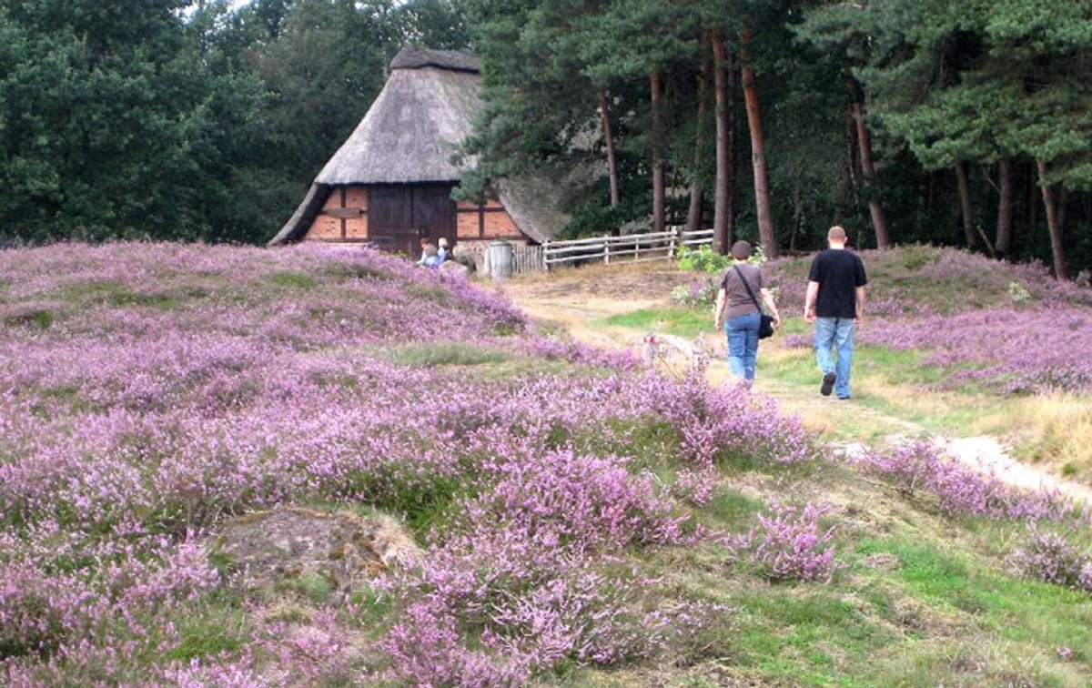 Wanderweg Petruper Heide